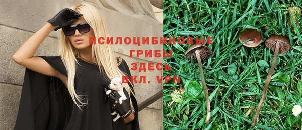 сатива Абдулино