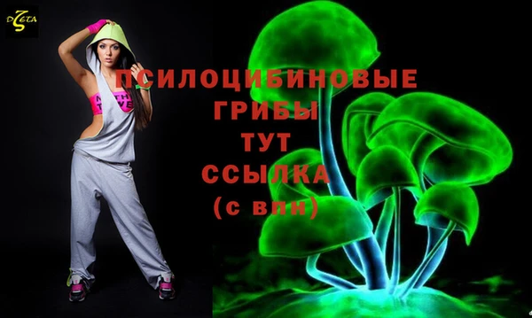 сатива Абдулино