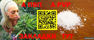 стаф Пенза