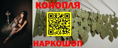 прущие крисы Пугачёв